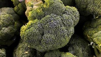 Natural background of green broccoli head close-up photo