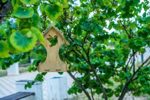 Landscape with bird feeders on the trees photo