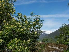 flam y el aurlandsfjord en noruega foto