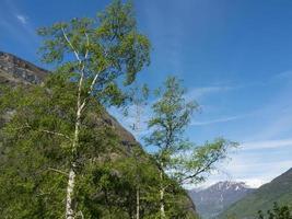 flam y el aurlandsfjord en noruega foto