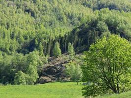 Flam and the aurlandsfjord in norway photo