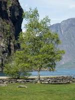 Flam and the aurlandsfjord in norway photo