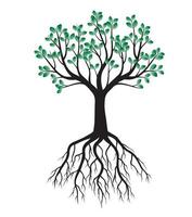 Green spring Tree with Roots. Vector Illustration.