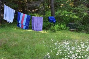 Laundered Towels on a Clothesline to Dry photo