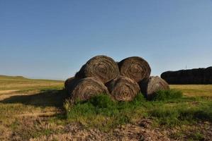 Rolled Bales of Hay Stacked in a Big Pile photo