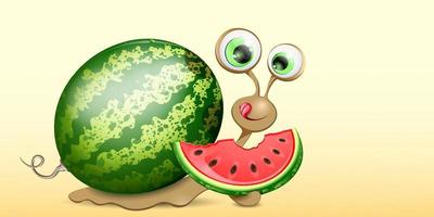 Snail with watermelon vector