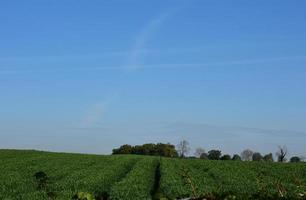 cielos azules y campos verdes de cultivos en el norte de inglaterra foto