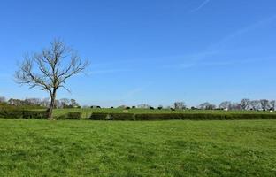 tierras de cultivo y campos con cultivos y animales en la campiña inglesa foto