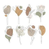 Set of hand drawn protea flowers with abstract organic shapes in natural pastel colors,vector illustration on white background.Exotic African flowers.Botanical rustic trendy set .Boho style vector