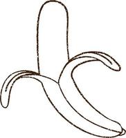 Banana Charcoal Drawing vector