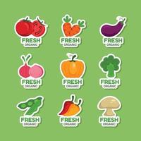 Set of Organic Food Stickers vector