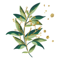 transparent blommigt element png