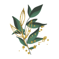 transparent blommigt element png