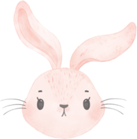 cute watercolor rabbit bunny face head cartoon animal png