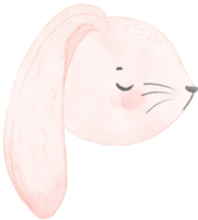 schattig aquarel konijn konijn gezicht hoofd cartoon dier png