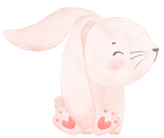 cute watercolor pink baby rabbit bunny cartoon animal hand painting png