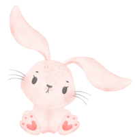 cute watercolor pink baby rabbit bunny cartoon animal hand painting png