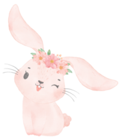 cute sweet princess baby pink bunny rabbit with floral crown watercolor png