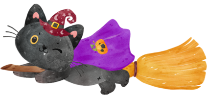 mignon drôle halloween chat noir sorcière sur balai volant avec pleine lune et chauves-souris aquarelle illustration vecteur