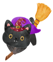 bruxa de gato preto bonito e engraçado de halloween na vassoura voadora com lua cheia e morcegos ilustração em aquarela vetor png