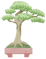 raccolta isolata dell'illustrazione della pittura dell'acquerello della pianta in vaso dell'albero dei bonsai. zen spirituale dell'albero antico giapponese png