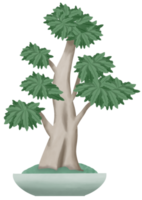 foglia verde albero di bonsai pianta in vaso pittura ad acquerello illustrazione collezione isolata. zen spirituale dell'albero antico giapponese