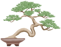 raccolta isolata dell'illustrazione della pittura dell'acquerello della pianta in vaso inclinata dell'albero dei bonsai. zen spirituale dell'albero antico giapponese png