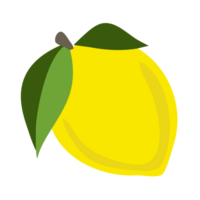 bright yellow lemon fruit PNG file