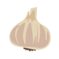 brightly colored vegetable garlic PNG file