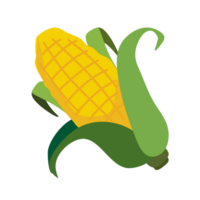 bright yellow vegetable corn PNG file