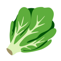 Bright green lettuce PNG file