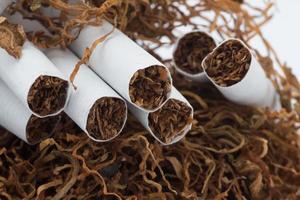 Tobacco pile and cigarettes photo