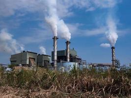 Sugar cane factory photo