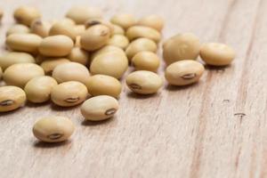 Soy beans on wood background photo