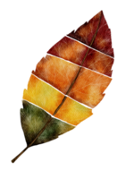 hoja de otoño de acuarela, hoja aislada multicolor de pintura de mano digital png