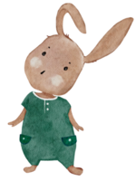 söt kanin vattenfärg handfärg, tecknad handritad kanin karaktär designelement för påsk gratulationskort, inbjudan, vår, sommar affisch, illustration isolerad på transparent bakgrund png
