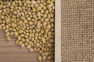 soy bean on the sacks background. photo