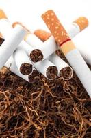 Tobacco pile and cigarettes photo