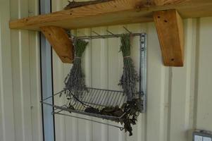 Dried useful garden herbs for tea photo