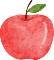 Aquarellillustration des roten Apfels png