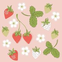 Fresa colorida ambientada en un hermoso estilo para un diseño decorativo. colección de ilustraciones vectoriales de bayas, flores y hojas. comida saludable de la temporada de verano. vector