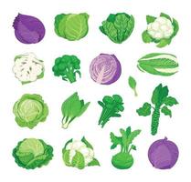 Cabbage Species Set vector