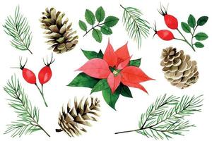 acuarela navidad, set de invierno. poinsettia, bayas rojas y hojas de rosa silvestre, ramas de abeto y conos aislados en fondo blanco. colección vintage para el año nuevo vector