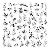 Collection of Patterns with Flowers, Leaves and Twigs vector