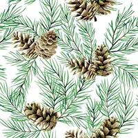 watercolor seamless pattern with fir branches and cones, Christmas trees isolated on white background. New Year's, Christmas print. vector