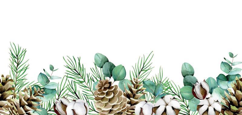 Winter greenery pine branch Royalty Free Vector Image