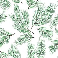 watercolor seamless pattern with fir branches, Christmas trees isolated on white background. New Year's, Christmas print. vector