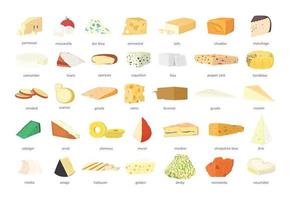 Set of Realistic Cheese with Titles vector