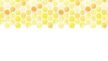 patrones sin fisuras horizontales. acuarela dibujo panal amarillo. marco, borde sobre un fondo blanco. antecedentes abstractos sobre el tema de la apicultura, la agricultura, la venta de miel vector