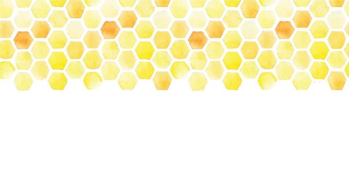 horizontal seamless pattern. watercolor drawing yellow honeycomb. frame, border on a white background. abstract background on the theme of beekeeping, farming, selling honey